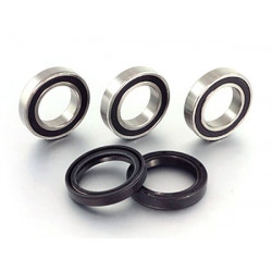 BEARING KIT REAR WHEEL YZF250/ - 02151496