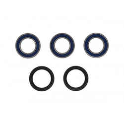 BEARING KIT REAR WHEEL YZF250/ - 02151496