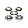 STEERING BEARING KIT YZ125-250 - 04100482