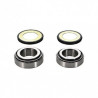STEERING BEARING KIT YZ125-250 - 04100483 | Dr Rider