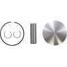 PISTON KIT SX65 09-26 C 44.98 - 09102484 | Dr Rider