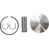 PISTON KIT KTM50SX 09-26 39.48 - 09103271 | Dr Rider