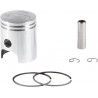 PISTON KIT PW50 '81+40MM - 09106097 | Dr Rider