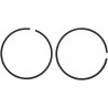 PISTON RINGS 02.6249 - 09120659 | Dr Rider