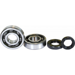 CRANK BEARING SEAL KIT - 09240294 | Dr Rider
