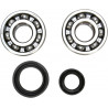 CRANK BEARING SEAL KIT - 09240297 | Dr Rider