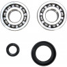 CRANK BEARING SEAL KIT - 09240300 | Dr Rider