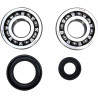 CRANK BEARING SEAL KIT - 09240302 | Dr Rider