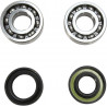 CRANK BEARING SEAL KIT - 09240308 | Dr Rider