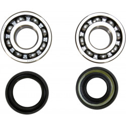 CRANK BEARING SEAL KIT - 09240309