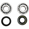 CRANK BEARING SEAL KIT - 09240309