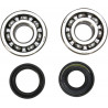 CRANK BEARING SEAL KIT - 09240311 | Dr Rider