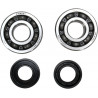 CRANK BEARING SEAL KIT - 09240313 | Dr Rider