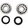 CRANK BEARING SEAL KIT - 09240315 | Dr Rider