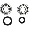 CRANK BEARING SEAL KIT - 09240324 | Dr Rider