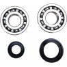 CRANK BEARING SEAL KIT - 09240325 | Dr Rider