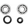 CRANK BEARING SEAL KIT - 09240326 | Dr Rider