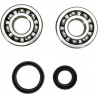 CRANK BEARING SEAL KIT - 09240331 | Dr Rider