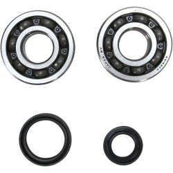 CRANK BEARING  SEAL KIT - 09240333