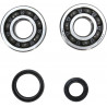 CRANK BEARING  SEAL KIT - 09240333