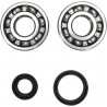 CRANK BEARING SEAL KIT - 09240334 | Dr Rider