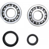 CRANK BEARING SEAL KIT - 09240335 | Dr Rider