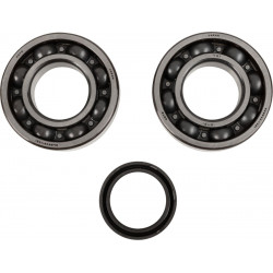 CRANK BEARING SEAL KIT - 09240337