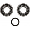 CRANK BEARING SEAL KIT - 09240337