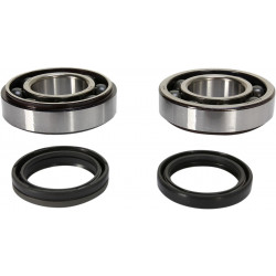 CRANK BEARING SEAL KIT - 09240338