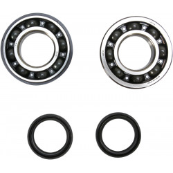CRANK BEARING SEAL KIT - 09240338