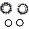 CRANK BEARING SEAL KIT - 09240338