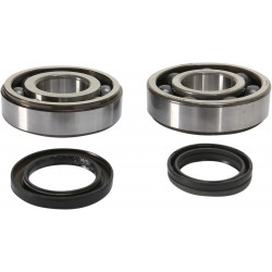 CRANK BEARING SEAL KIT - 09240347