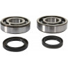 CRANK BEARING SEAL KIT - 09240347