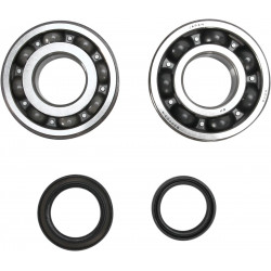 CRANK BEARING SEAL KIT - 09240347