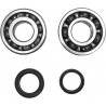 CRANK BEARING SEAL KIT - 09240347