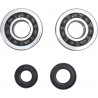 CRANK BEARING SEAL KIT - 09240349 | Dr Rider