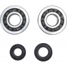 CRANK BEARING SEAL KIT - 09240349 | Dr Rider