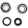 CRANK BEARING SEAL KIT - 09240352 | Dr Rider