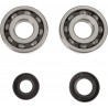 CRANK BEARING SEAL KIT - 09240355 | Dr Rider