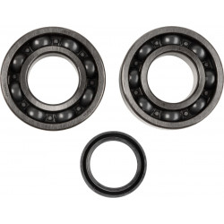 CRANK BEARING SEAL KIT - 09240356 | Dr Rider