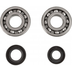 CRANK BEARING SEAL KIT - 09240357 | Dr Rider