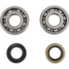 CRANK BEARING SEAL KIT - 09240359 | Dr Rider
