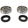 CRANK BEARING SEAL KIT - 09240362 | Dr Rider