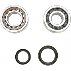 CRANK BEARING SEAL KIT - 09240363