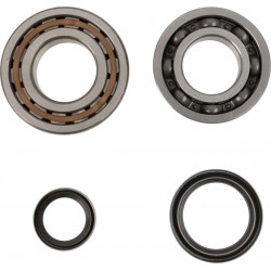 CRANK BEARING SEAL KIT - 09240365