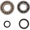 CRANK BEARING SEAL KIT - 09240365