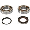 CRANK BEARING SEAL KIT - 09240366 | Dr Rider