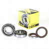 CRANK BEARING  SEAL KIT - 09240368