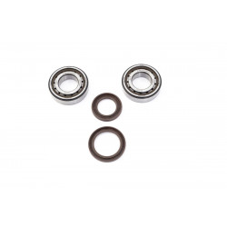 CRANK BEARING SEAL KIT - 09240615 | Dr Rider