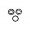 CRANK BEARING SEAL KIT - 09240689